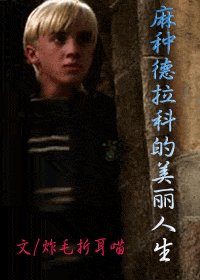 (HP同人)麻种德拉科的美丽人生