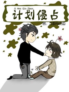计划侵占