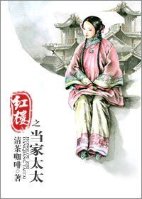 （红楼同人）红楼之当家太太